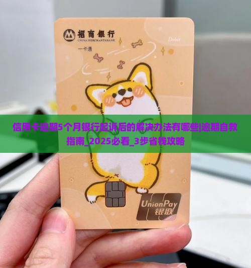 信用卡逾期5个月银行起诉后的解决办法有哪些