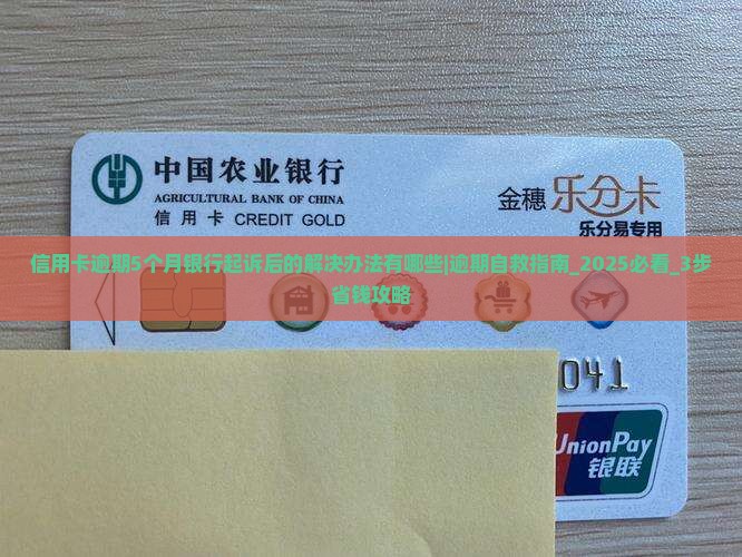 信用卡逾期5个月银行起诉后的解决办法有哪些