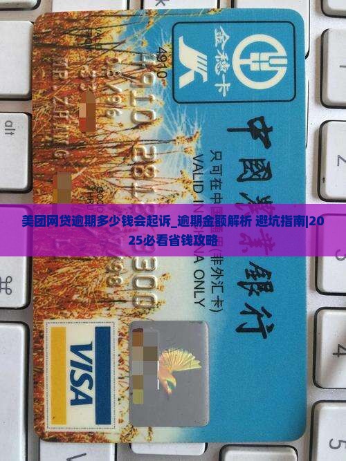 美团网贷逾期多少钱会起诉