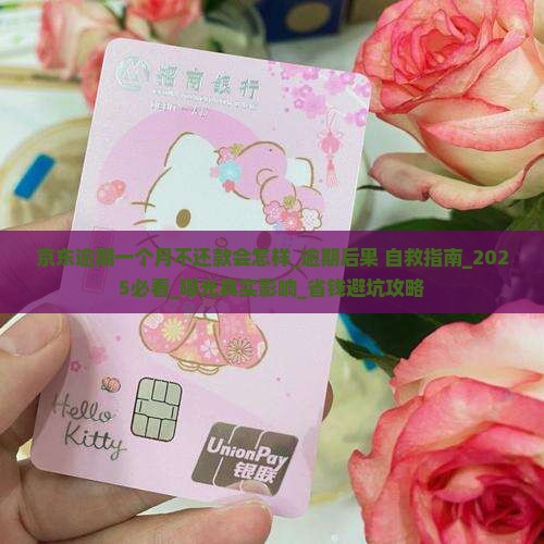 京东逾期一个月不还款会怎样