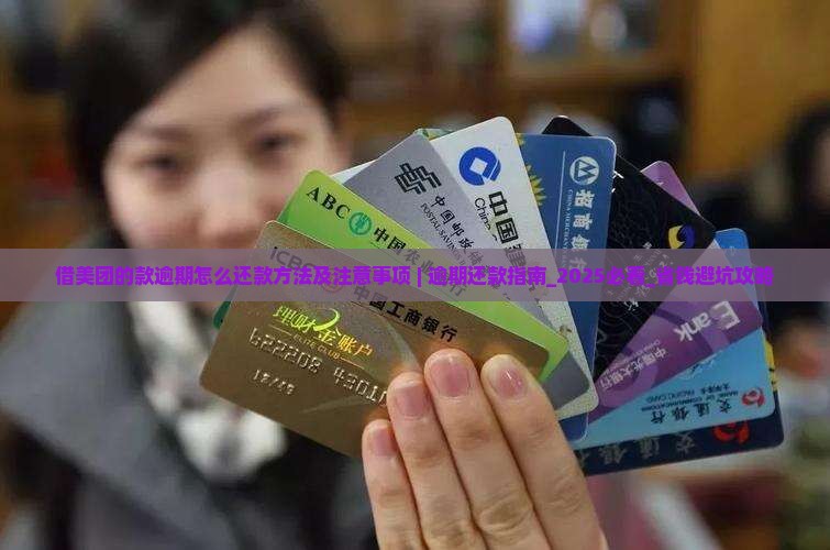 借美团的款逾期怎么办理还款方法及注意事项