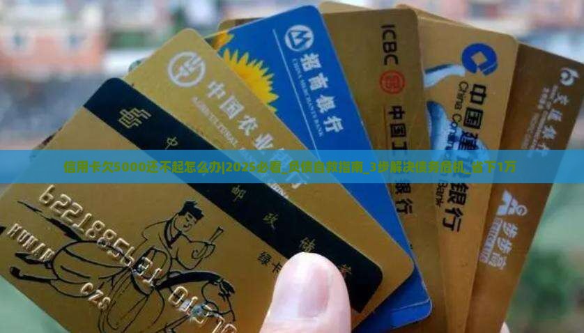 信用卡欠5000还不起怎么办