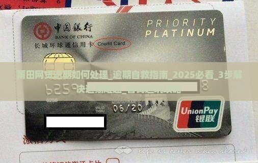 莆田网贷逾期如何处理