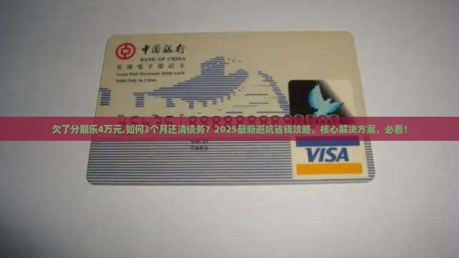 欠了分期乐4万元