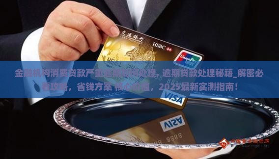 金融机构消费贷款严重逾期如何处理
