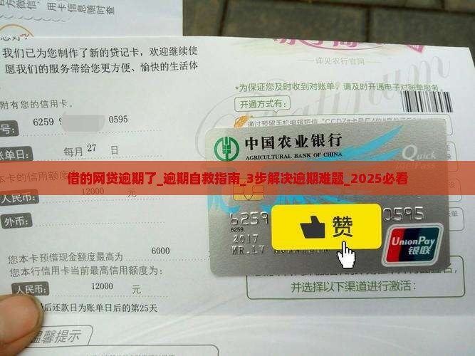 借的网贷逾期了
