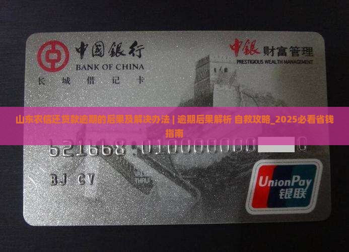 山东农信还贷款逾期的后果及解决办法