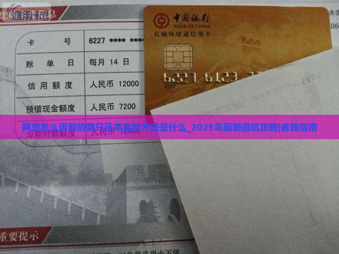 网贷怎么诉前协商只还本金的方法是什么