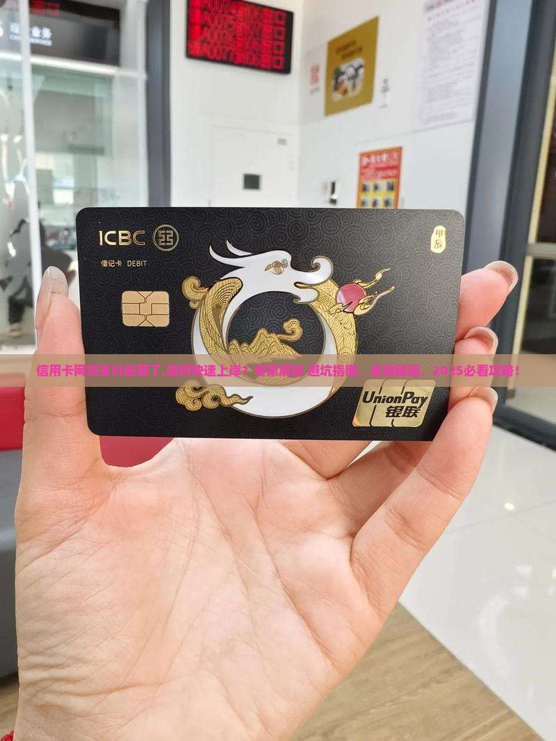 信用卡网贷支付宝都逾期了