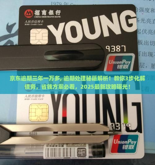 京东白条逾期三年一万多