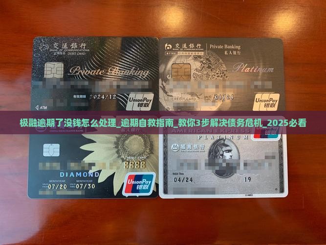极融逾期了没钱怎么处理