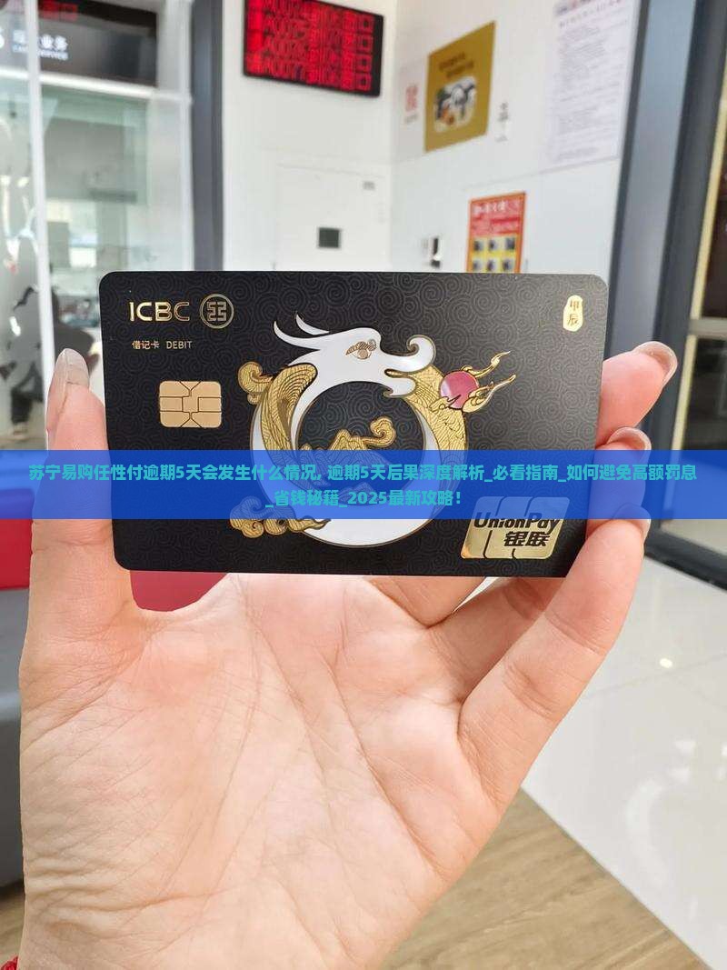 苏宁易购任性付逾期5天会发生什么情况
