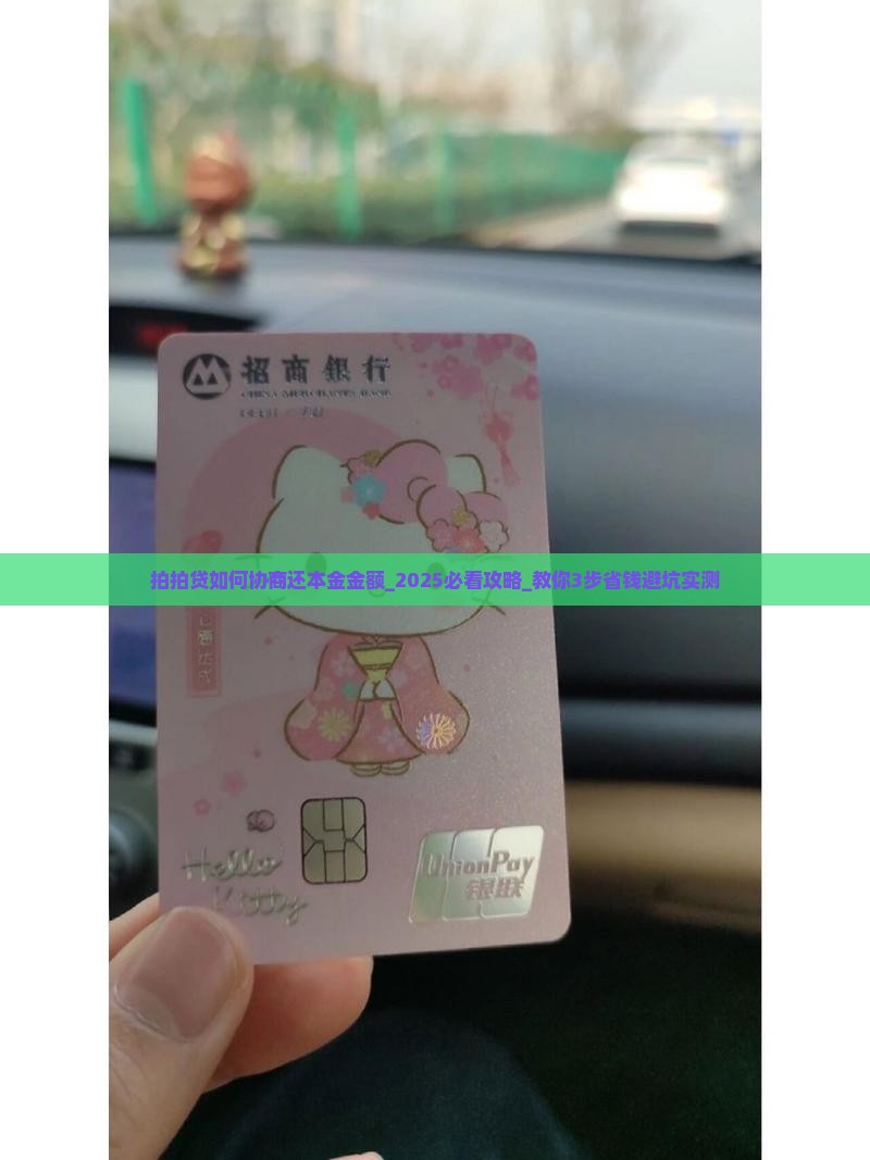 拍拍贷如何协商还本金金额