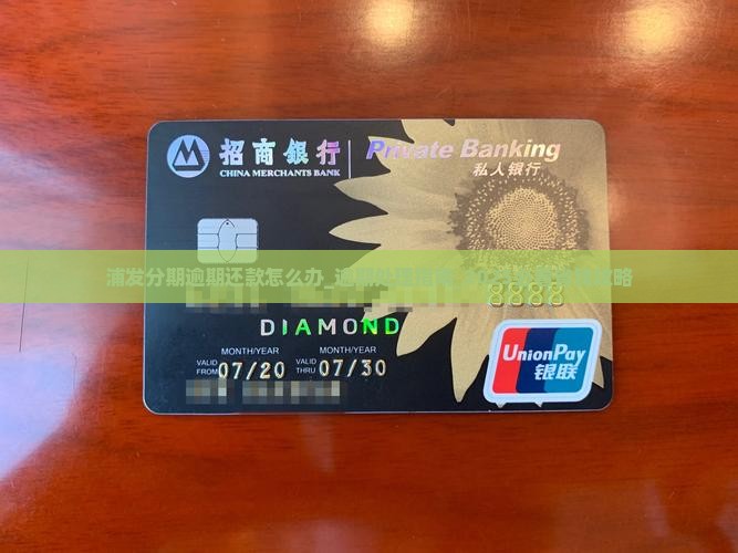 浦发分期逾期还款怎么办