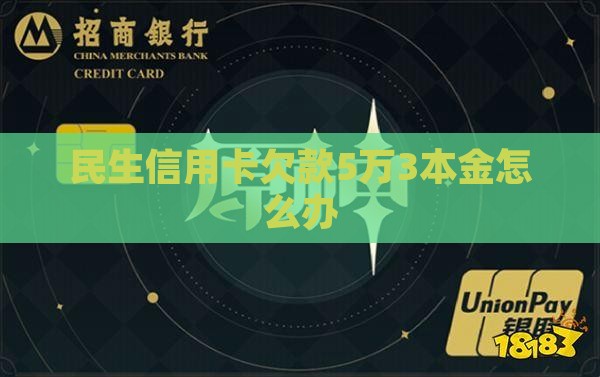 民生信用卡欠款5万3本金怎么办
