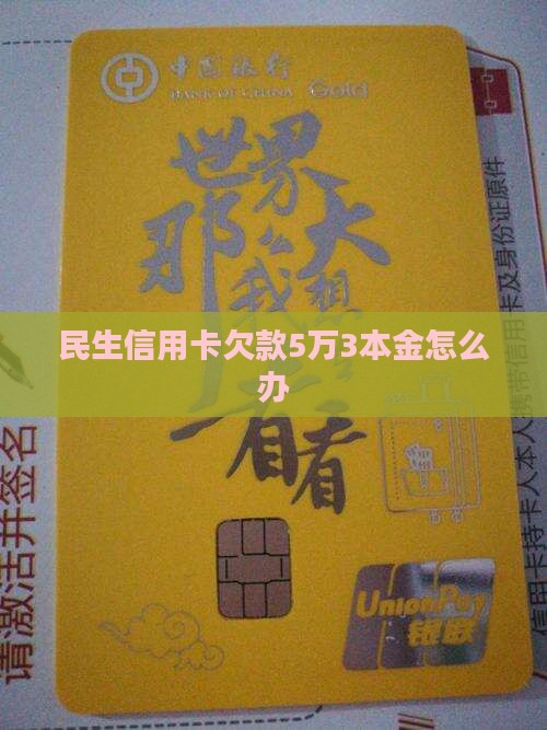 民生信用卡欠款5万3本金怎么办