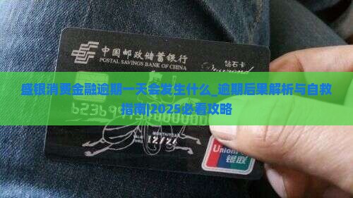 盛银消费金融逾期一天会发生什么