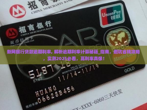 新网银行贷款逾期利率