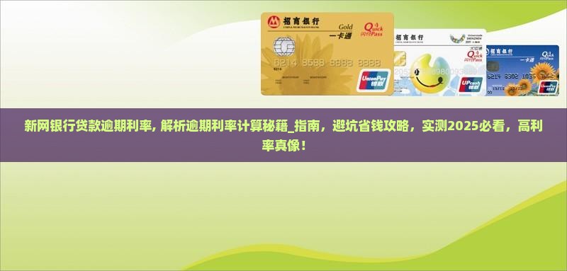 新网银行贷款逾期利率