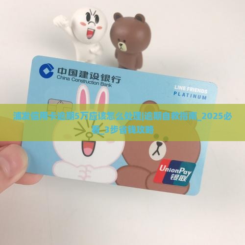 浦发信用卡逾期5万应该怎么处理