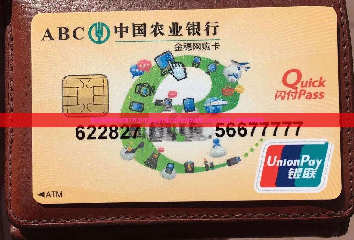 浦发信用卡逾期5万应该怎么处理