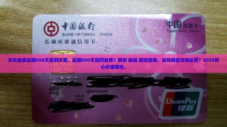 京东金条逾期500天案例详解