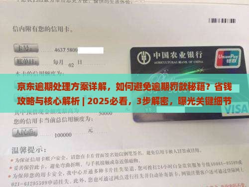京东白条逾期处理方案详解 京东白条逾期处理方案详解