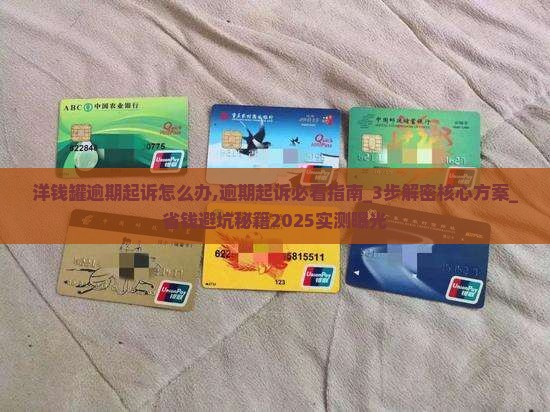 洋钱罐逾期起诉怎么办