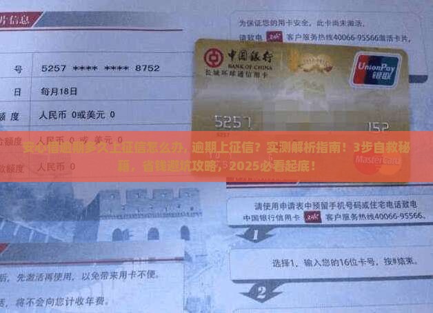 安心借逾期多久上征信怎么办
