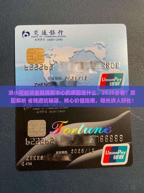浪小花起诉金融调解中心的原因是什么