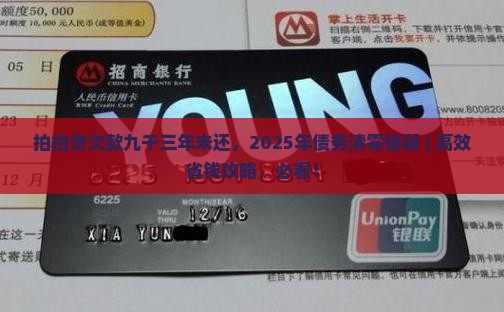 拍拍贷欠款九千三年未还
