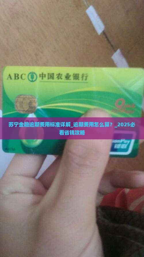 苏宁金融逾期费用标准详解