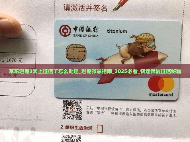 京东白条逾期3天上征信了怎么处理