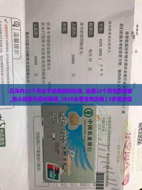 五年内23个月处于逾期如何处理