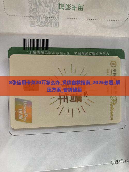 8张信用卡欠20万怎么办