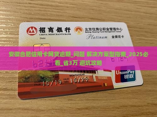 安徽合肥信用卡网贷逾期及相关问题