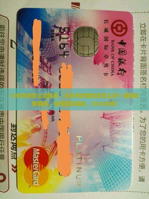 小米贷款怎么说起诉