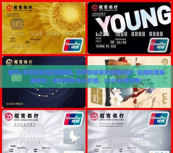 金燕e贷逾期处理流程解析
