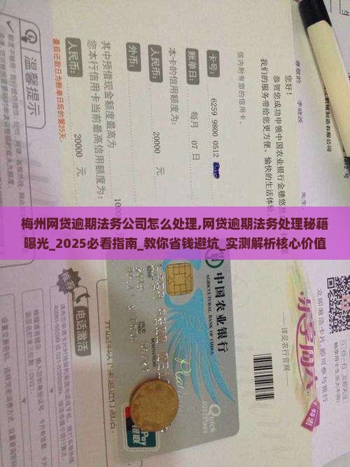 梅州网贷逾期法务公司怎么处理