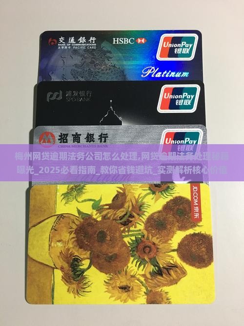 梅州网贷逾期法务公司怎么处理