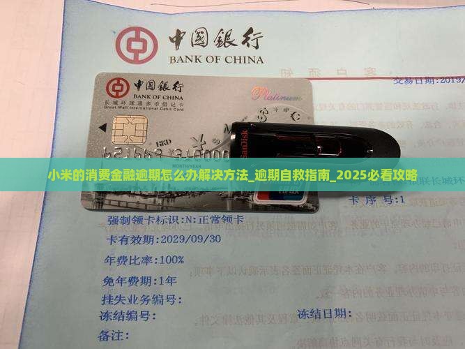 小米的消费金融逾期怎么办解决方法