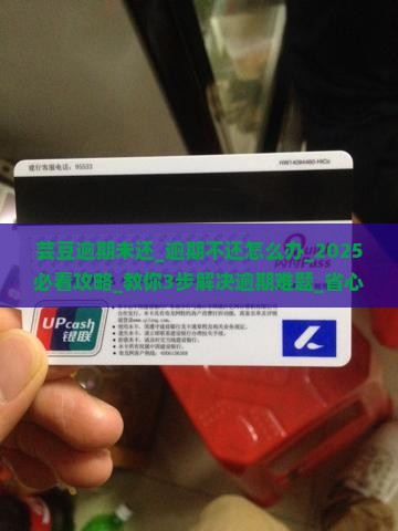 芸豆逾期未还