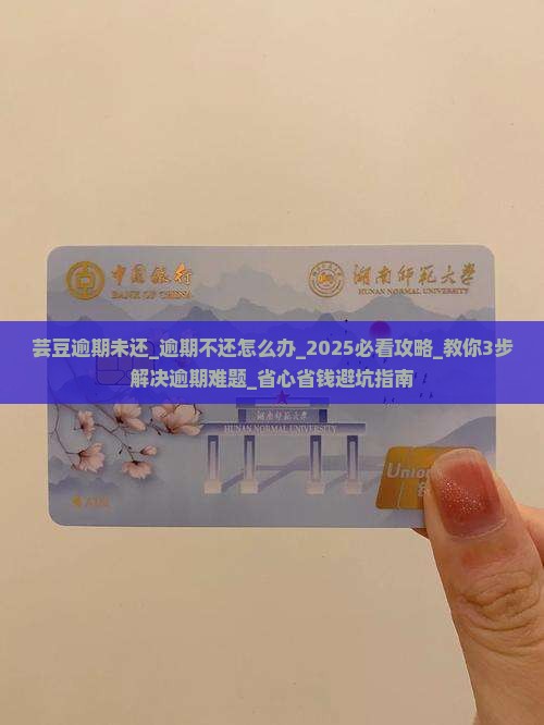 芸豆逾期未还