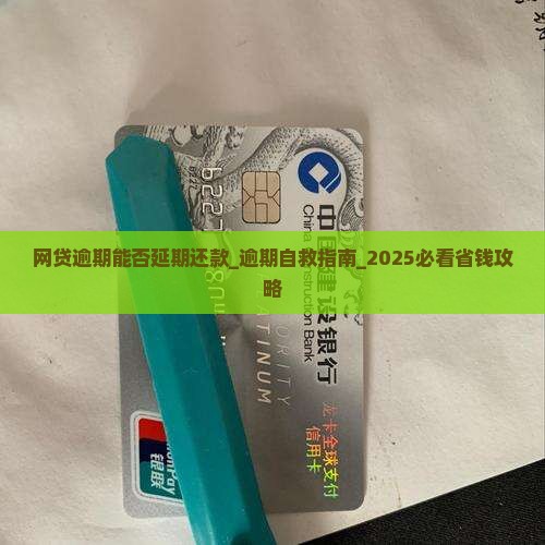 网贷逾期能否延期还款