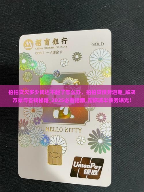 拍拍贷欠多少钱还不起了怎么办