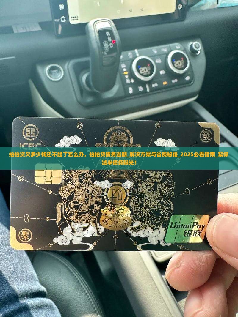 拍拍贷欠多少钱还不起了怎么办
