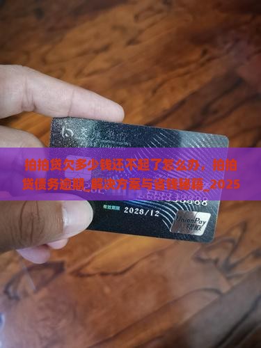 拍拍贷欠多少钱还不起了怎么办