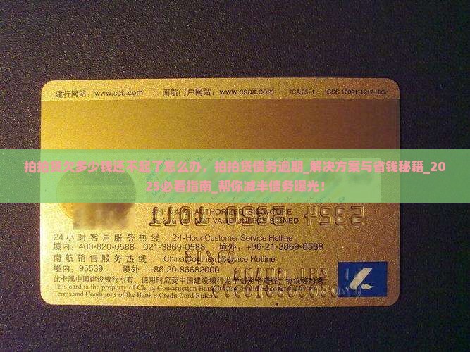 拍拍贷欠多少钱还不起了怎么办