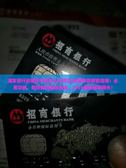 浦发银行逾期还不起怎么办贷款