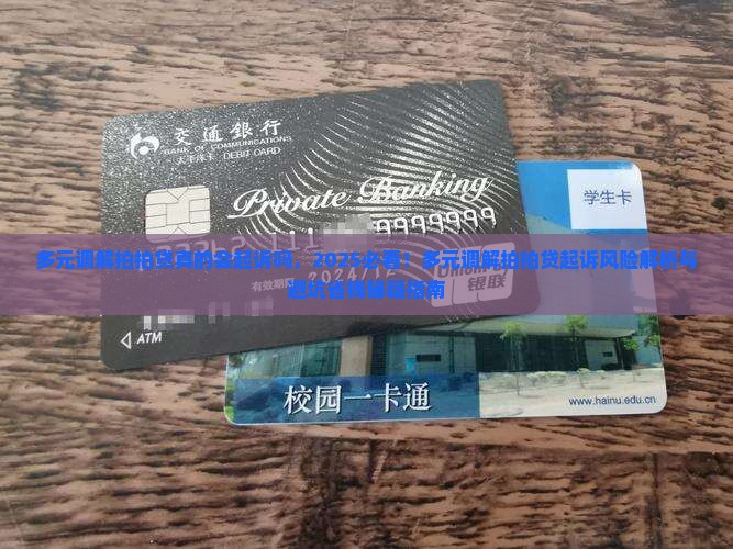 多元调解拍拍贷真的会起诉吗